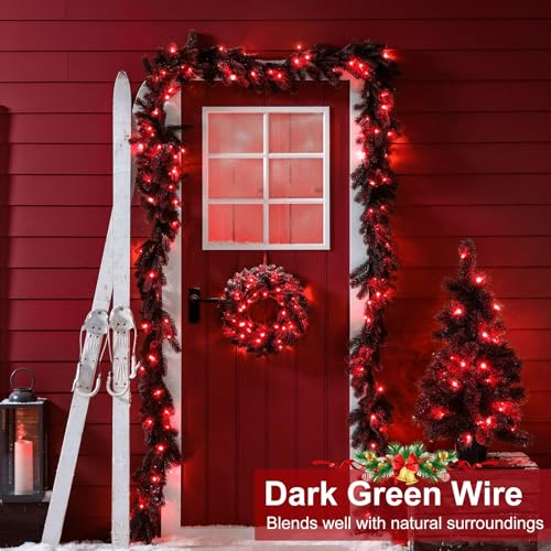 Red Christmas Lights Outdoor
