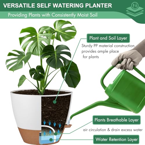 2 Pack 10 inch Plant Pots (2 Count)