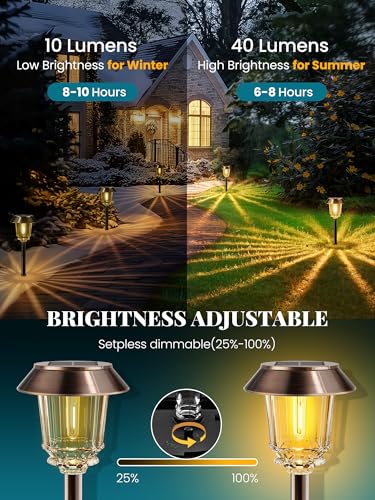 Solar Lights Outdoor Waterproof (6 Count)