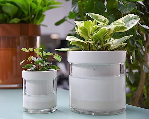 6 Inch 4 Inch Self Watering Planter