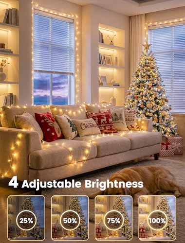98FT 200 LED Warm White Christmas Fairy Twinkle String Lights Indoor (98 Foot)