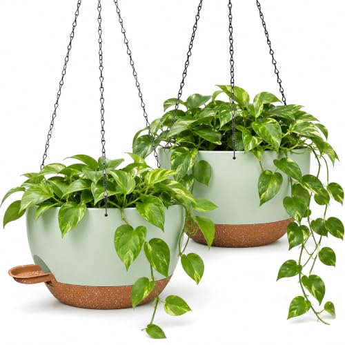 12 Inch Self Watering Hanging Planters 2 Pack (2 Count)