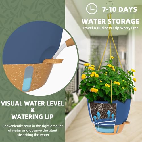 Hanging Planter 8 Inch (2 Count)
