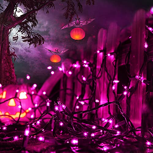 Purple Halloween Lights (75 Foot)