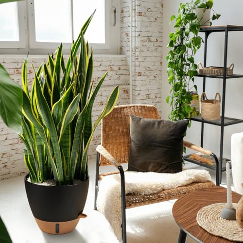 12/10/8 Inch Self Watering Pots for Indoor Plants Plastic Large Plant Pots for Outdoor Plants, Water Level Window & Spacious Reservoir Flower Pots Decorative Planter with Drainage and Tray (3 Count)