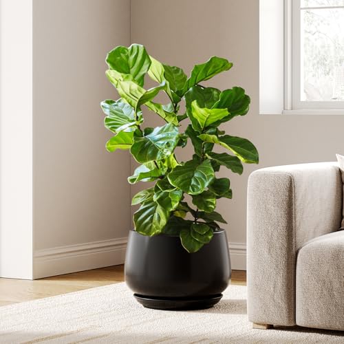 Ceramic Planter
