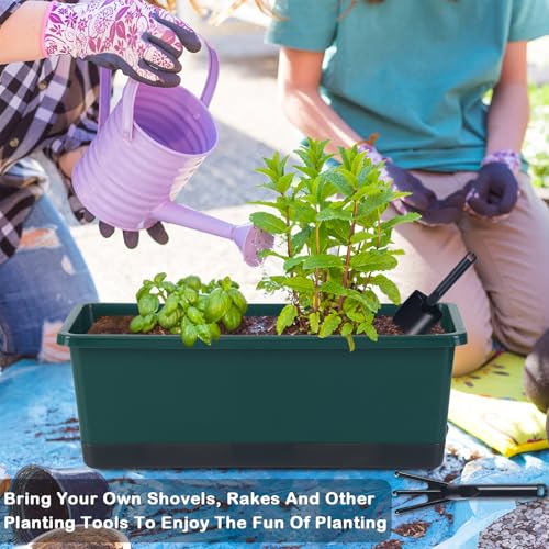 Window Box Planter 8 Pcs (8 Count)