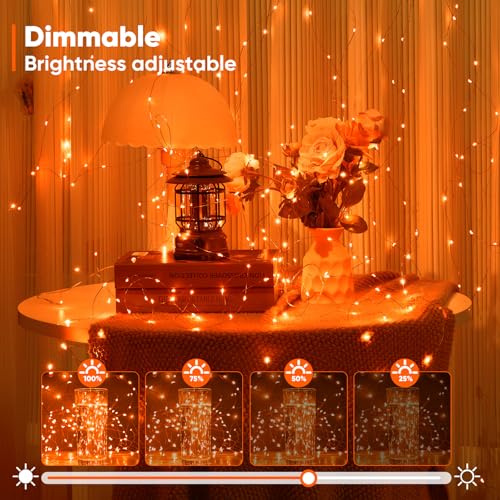 1 Pack 65.6 Ft. Battery Operated Outdoor String Lights with Remote & Timer