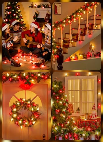 C9 Christmas Lights Outdoor
