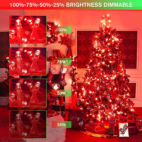 100 LED Red & Green Christmas Lights Plug in (33 Foot)
