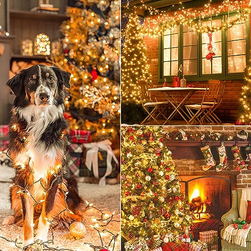 13FT 50 Clear Christmas Lights Outdoor Warm White Lights Brown Wire (50 Count)