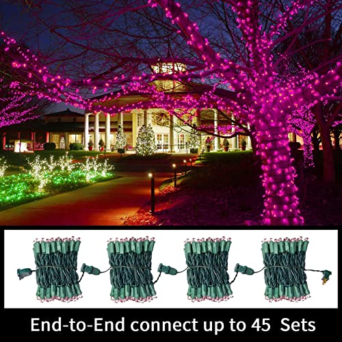 100 LED Pink Valentine Lights (100 Count)