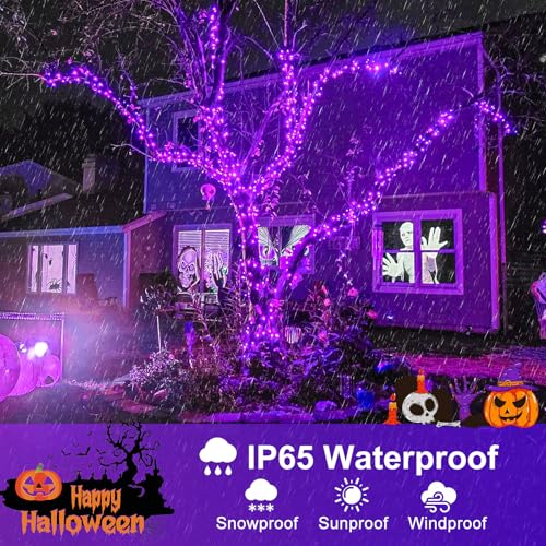 Purple Halloween Lights Outdoor