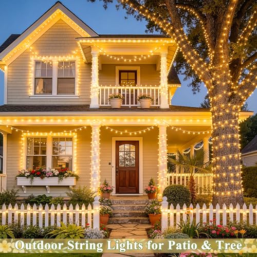 Outdoor String Lights Indoor for Bedroom (66 Foot)