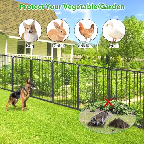 Decorative Black Metal Fencing Garden Fence with Gate