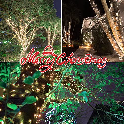 100LIGHTS WARM WHITE Extra (100 Count)