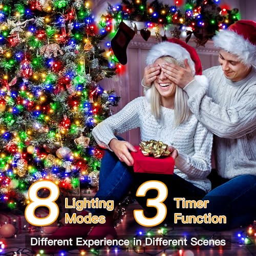 Christmas Lights (164 Foot)