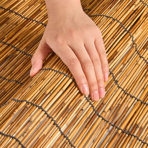 Bamboo Fencing