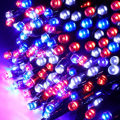 200 LED 66FT Fairy String Lights (66 Feet)