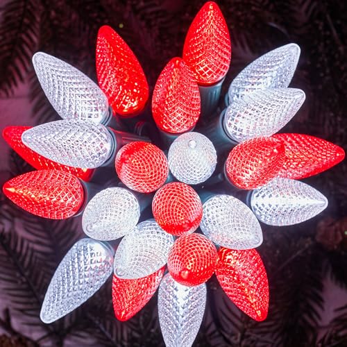 Outdoor Christmas Lights (50 Count)