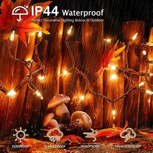 13FT 50 Clear Christmas Lights Outdoor Warm White Lights Brown Wire (50 Count)