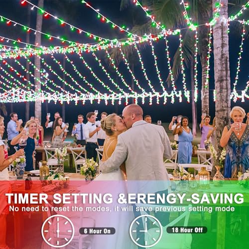 40FT 120 LED String Lights Indoor
