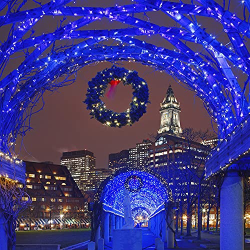 66ft Christmas Decorative Mini Lights (83 Foot)