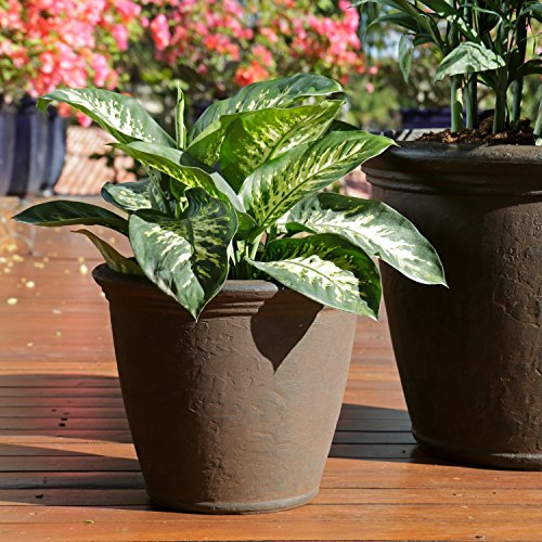 Sunnydaze Anjelica 15.25'' Large Plastic Planter Pot for Plants (2 Count)