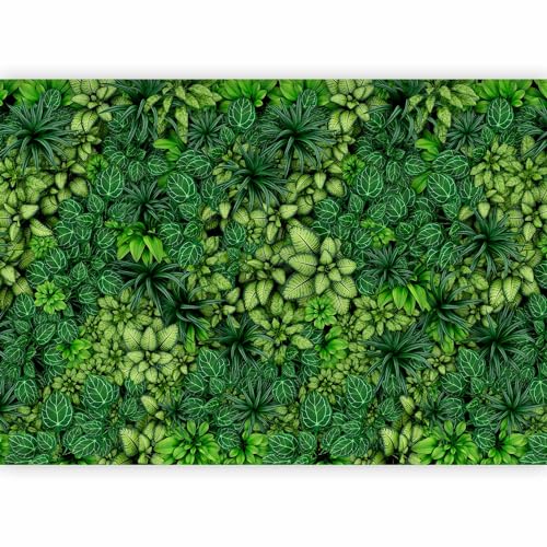 Wall Mural Wallpaper (5 Count)