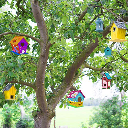 2 Pack Bird House Kits for Kids (2 Count)