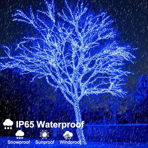 Blue Christmas Lights Outdoor
