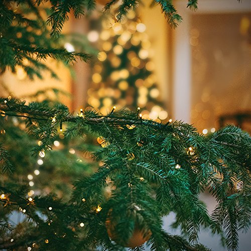 336ft 1000 LED Christmas Long String Lights (336 Foot)