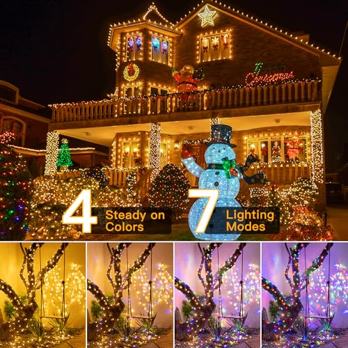 Christmas Lights (131 Foot)