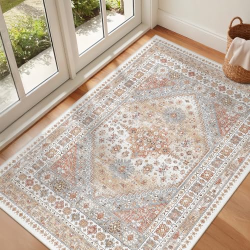 3x4 Rugs for Entryway (12 Sq Ft)