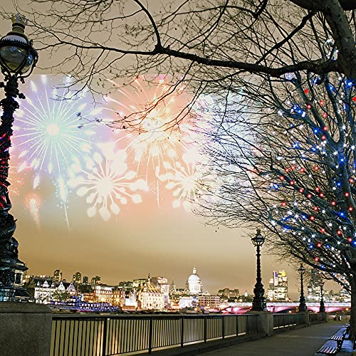 200 LED 66FT Fairy String Lights (66 Feet)