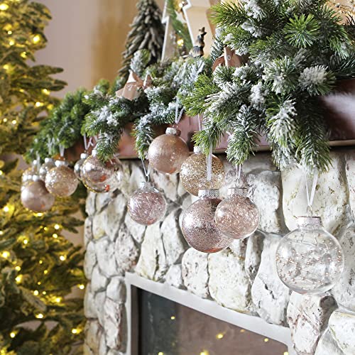 16 Pack Clear Christmas Ball Ornaments with Fillers (16 Count)