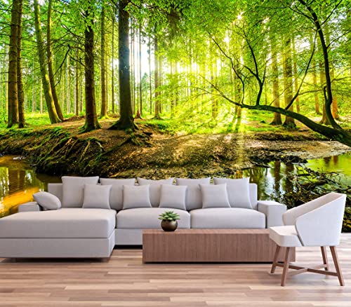 Wall Mural Fall Forest Stream Wallpaper