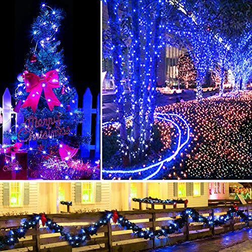 100 LED Christmas Fairy Lights (66 Foot)