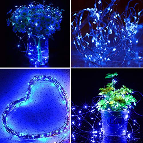 100 LED Christmas Fairy Lights (66 Foot)