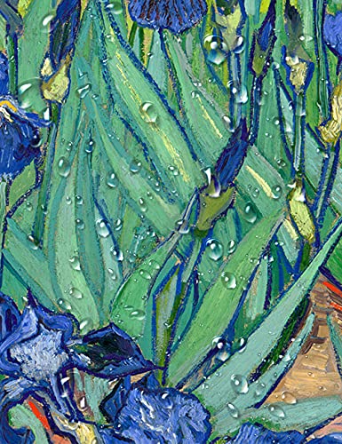 Irises in the Garden