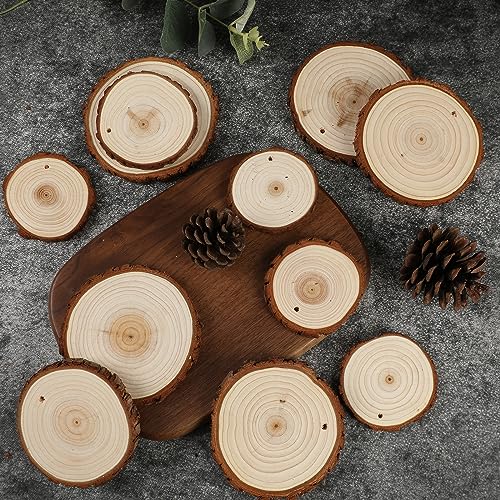 Wood Slices 3.5 (30 Count)