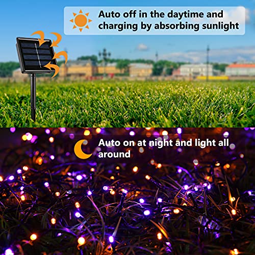 Orange Purple Halloween Solar Lights
