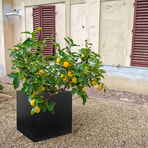 Galvanized Steel Planter Box 28 in Black Square Planters