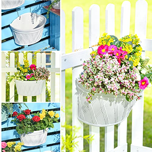 Wall Hanging Planters (3 Count)