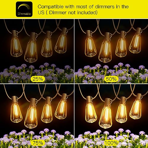 Exterior Hanging Lights (180 Foot)