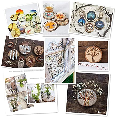 Natural Wood Slices TICIOSH Craft Unfinished Wood kit Predrilled with Hole Wooden Circles for DIY Crafts Wedding Decorations Christmas Ornaments Arts Wood Slices (50 Count)