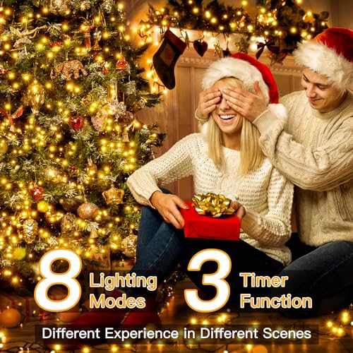Christmas Lights (164 Foot)