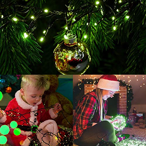 200 LED 66FT Christmas String Lights (66 Feet)