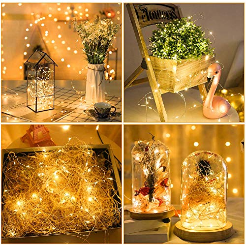 16 Pack Fairy Lights Battery Operated (16 Count)