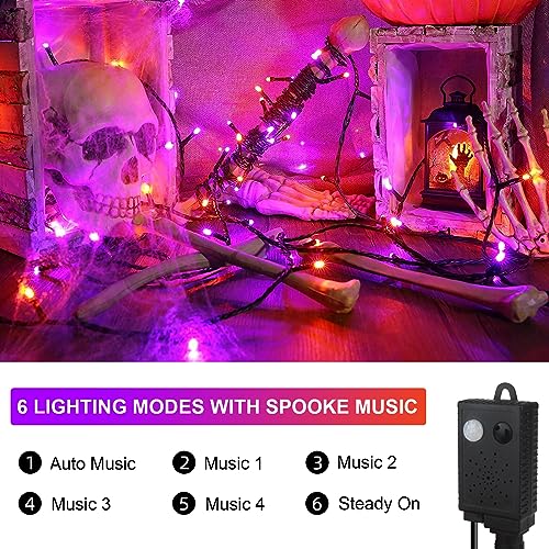 Halloween Lights (105 Foot)